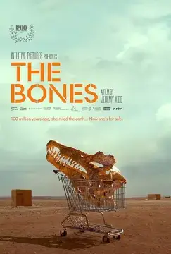Кости онлайн